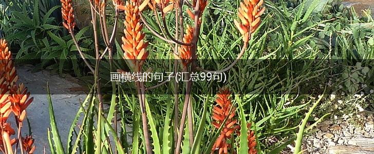 画横线的句子(汇总99句),第1张