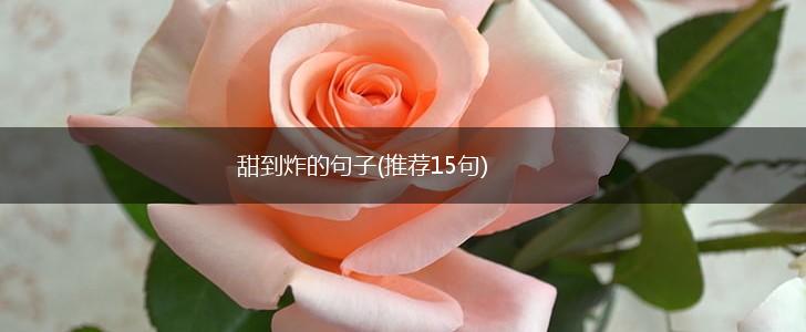 甜到炸的句子(推荐15句),第1张