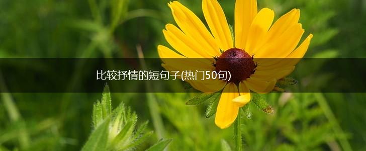比较抒情的短句子(热门50句),第1张