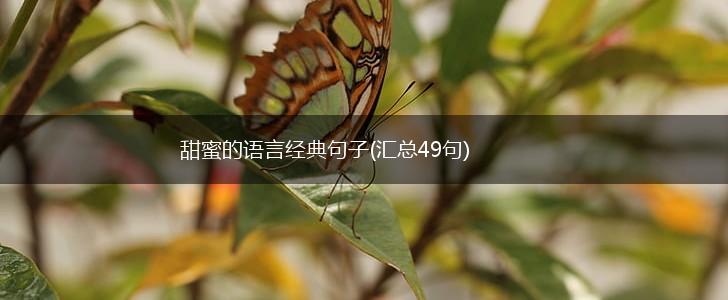 甜蜜的语言经典句子(汇总49句),第1张