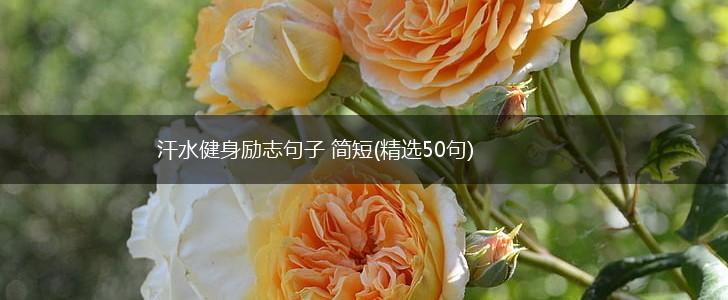 汗水健身励志句子 简短(精选50句),第1张