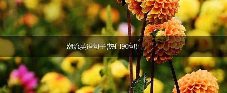 潮流英语句子(热门90句),第1张