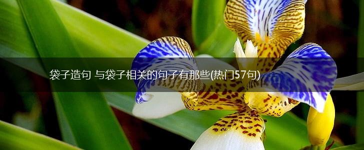 袋子造句 与袋子相关的句子有那些(热门57句),第1张