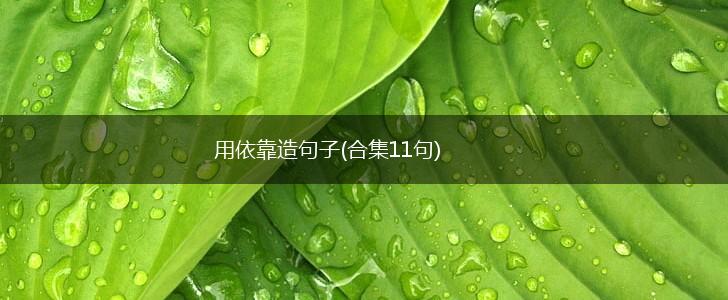 用依靠造句子(合集11句),第1张