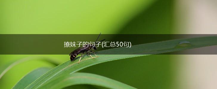 撩妹子的句子(汇总50句),第1张