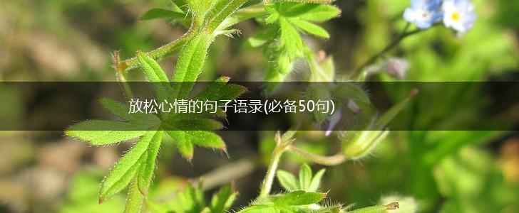 放松心情的句子语录(必备50句),第1张
