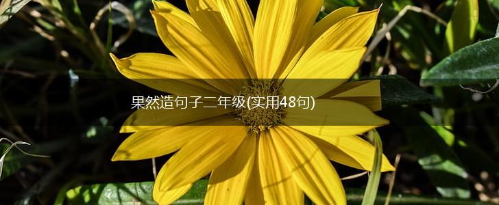 果然造句子二年级(实用48句),第1张