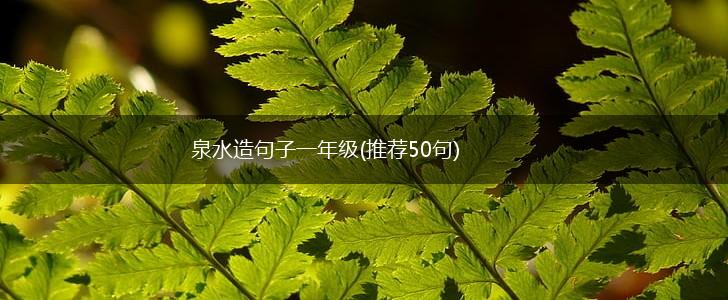 泉水造句子一年级(推荐50句),第1张