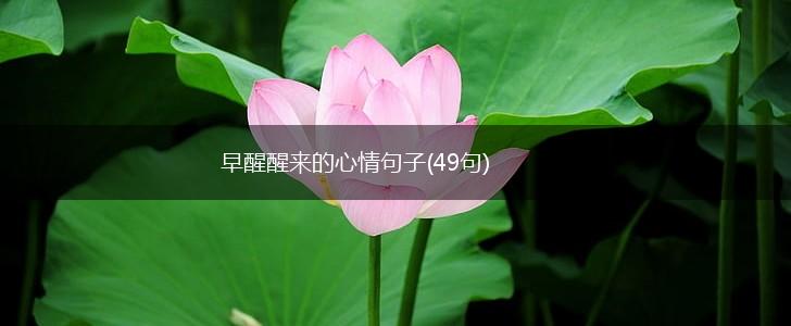 早醒醒来的心情句子(49句),第1张