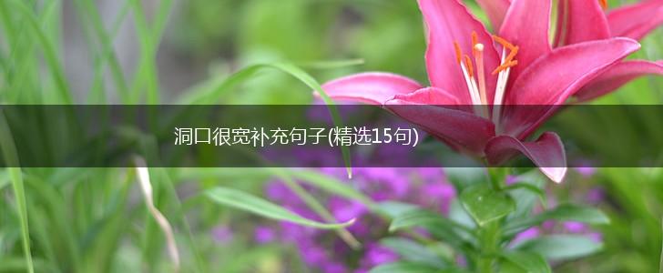 洞口很宽补充句子(精选15句),第1张