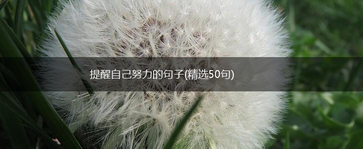 提醒自己努力的句子(精选50句),第1张