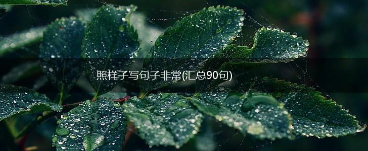 照样子写句子非常(汇总90句),第1张