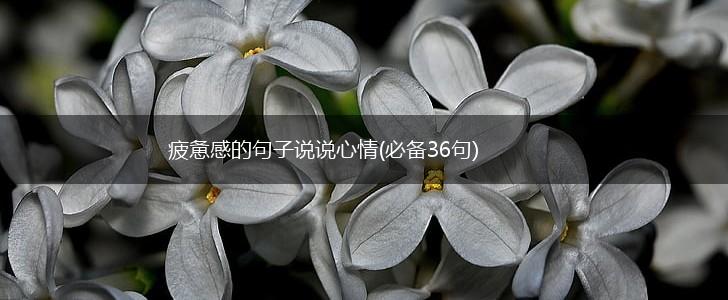 疲惫感的句子说说心情(必备36句),第1张