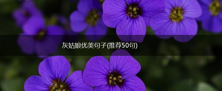 灰姑娘优美句子(推荐50句),第1张