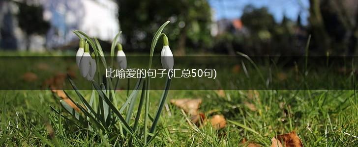 比喻爱的句子(汇总50句),第1张