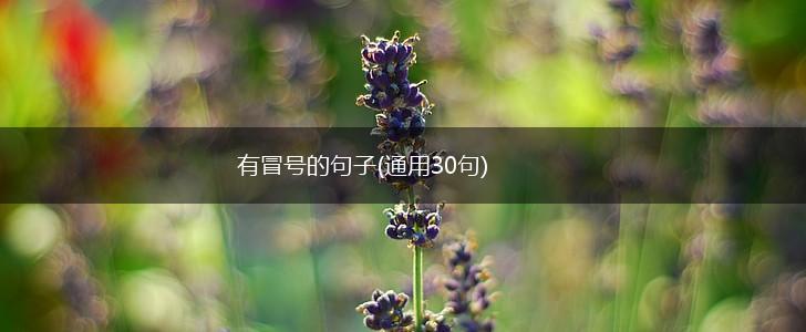 有冒号的句子(通用30句),第1张