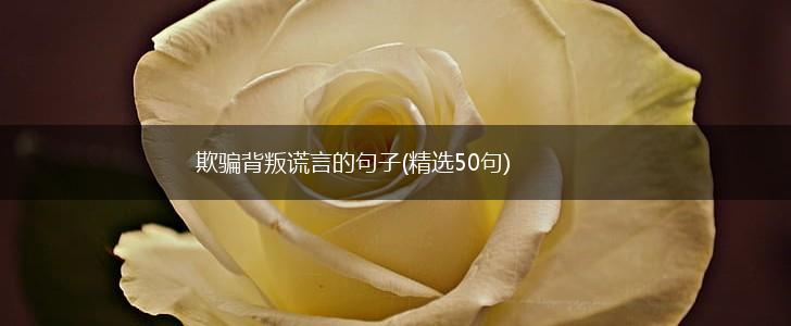 欺骗背叛谎言的句子(精选50句),第1张