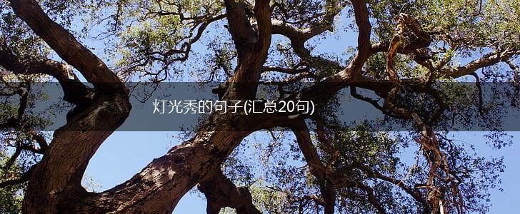 灯光秀的句子(汇总20句),第1张