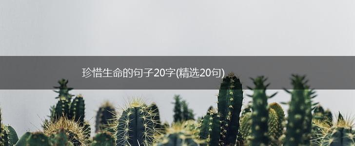 珍惜生命的句子20字(精选20句),第1张