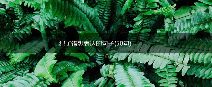 犯了错想表达的句子(50句),第1张