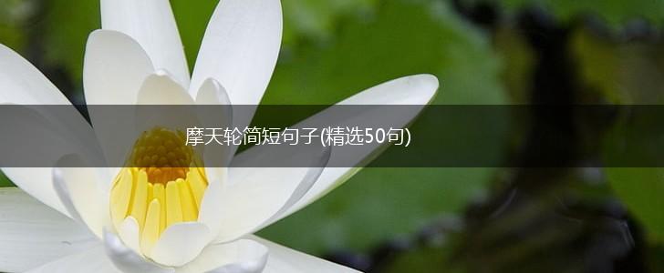 摩天轮简短句子(精选50句),第1张