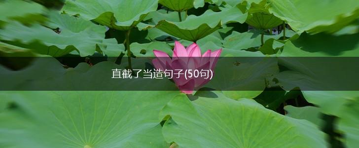 直截了当造句子(50句),第1张
