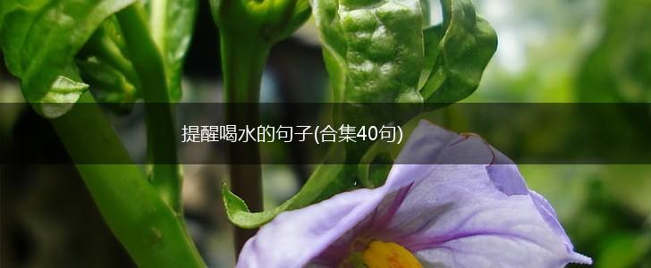 提醒喝水的句子(合集40句),第1张