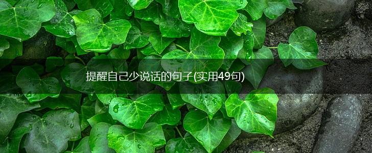 提醒自己少说话的句子(实用49句),第1张