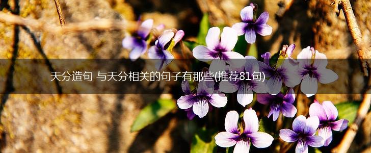 天分造句 与天分相关的句子有那些(推荐81句),第1张
