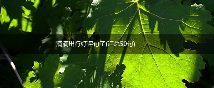 滴滴出行好评句子(汇总50句),第1张