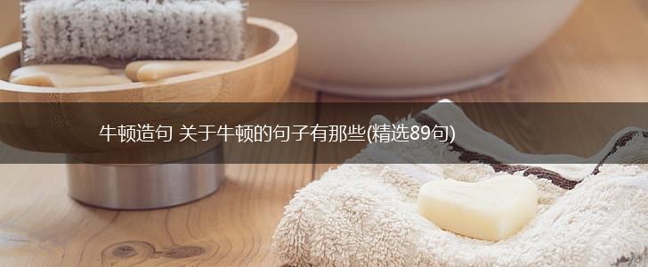 牛顿造句 关于牛顿的句子有那些(精选89句),第1张