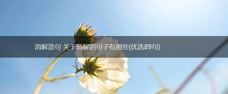 消解造句 关于消解的句子有那些(优选89句),第1张