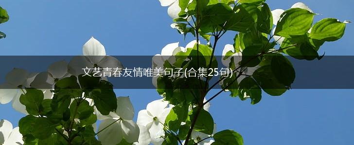 文艺青春友情唯美句子(合集25句),第1张