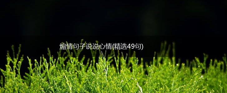 煽情句子说说心情(精选49句),第1张
