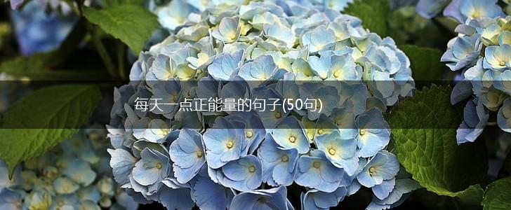 每天一点正能量的句子(50句),第1张