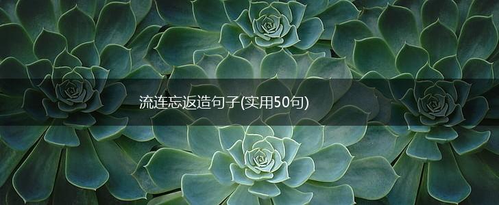 流连忘返造句子(实用50句),第1张