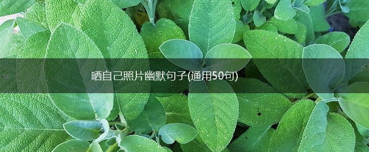 晒自己照片幽默句子(通用50句),第1张