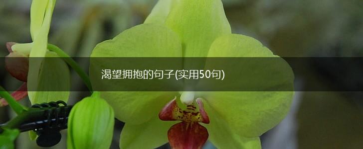 渴望拥抱的句子(实用50句),第1张