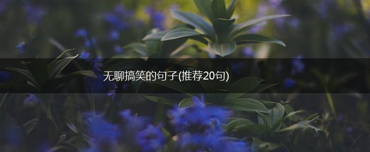 无聊搞笑的句子(推荐20句),第1张