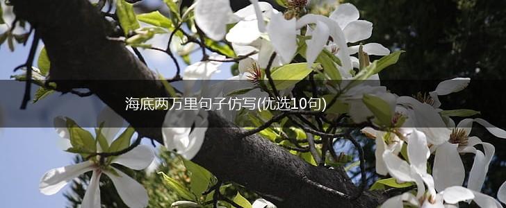 海底两万里句子仿写(优选10句),第1张