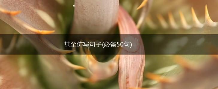 甚至仿写句子(必备50句),第1张