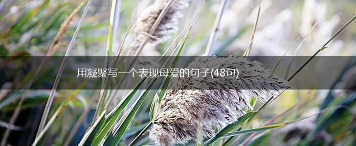 用凝聚写一个表现母爱的句子(48句),第1张