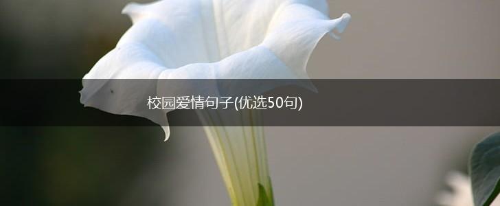校园爱情句子(优选50句),第1张