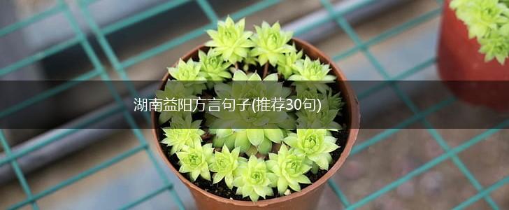 湖南益阳方言句子(推荐30句),第1张