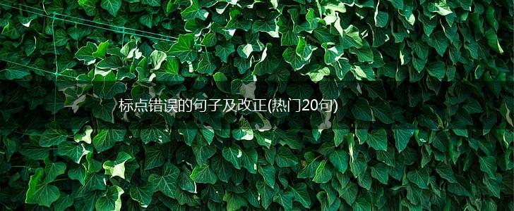 标点错误的句子及改正(热门20句),第1张