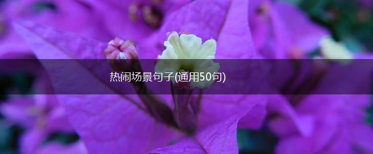 热闹场景句子(通用50句),第1张