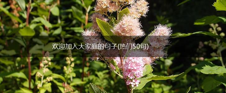 欢迎加入大家庭的句子(热门50句),第1张