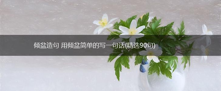 倾盆造句 用倾盆简单的写一句话(精选90句),第1张