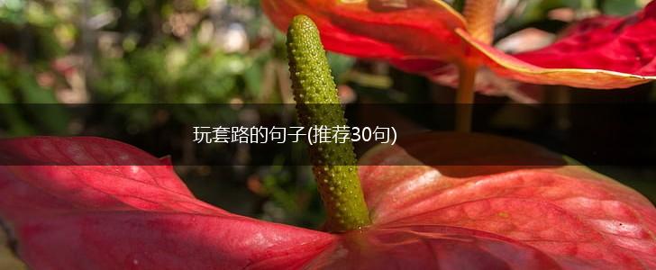玩套路的句子(推荐30句),第1张