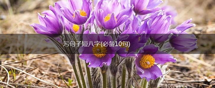 污句子短八字(必备10句),第1张